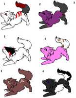 Free download WOLF ADOPTS 5 POINTS {{{{{{{{{{OPEN}}}}}}}}}} free photo or picture to be edited with GIMP online image editor